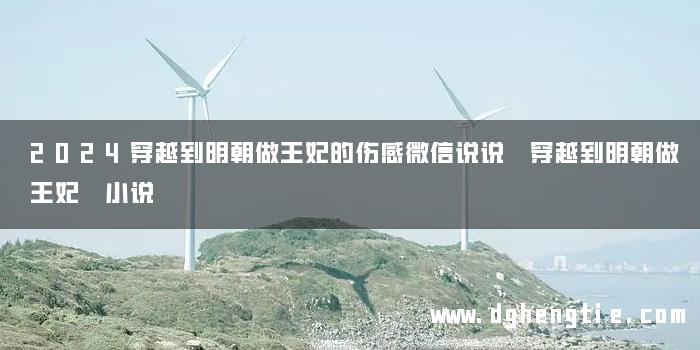 2024穿越到明朝做王妃的伤感微信说说 穿越到明朝做王妃 小说